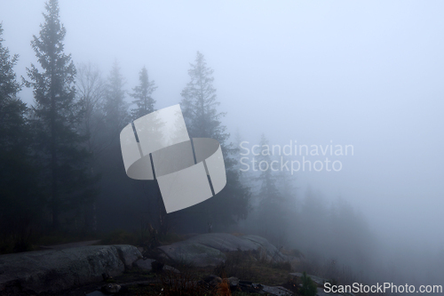 Image of T&aring;ke i skogen