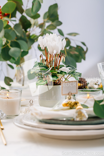 Image of Traditional festive place setting for Christmas, decorated with eucalyptus branch