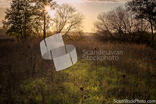 Image of A  gloomy place in the evening sun