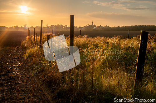 Image of The autumn sun illuminating the fields