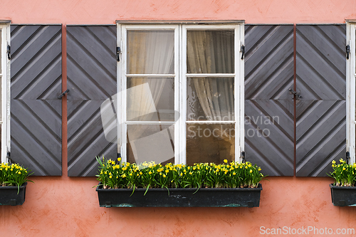 Image of Window with Flowers 