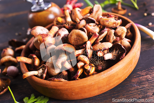 Image of edible mushroom in bowl on a table