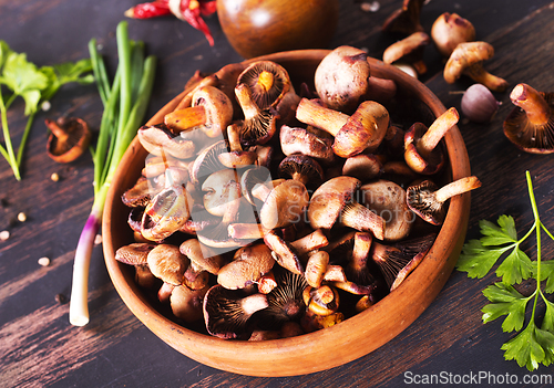 Image of edible mushroom in bowl on a table