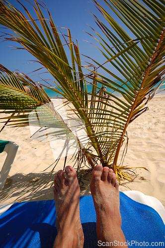 Image of A sun lounger and palm at exotic beach with white sand