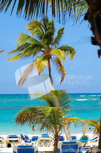 Image of A sun lounger and palm at exotic beach with white sand