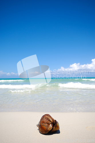 Image of Costline at tropical beach