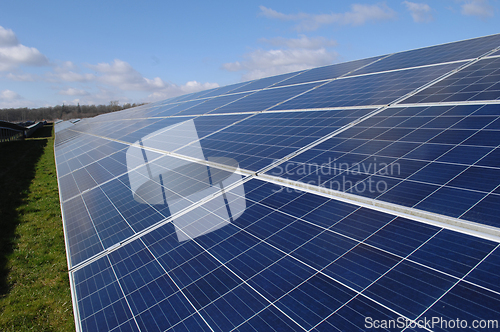 Image of Rows of solar panels