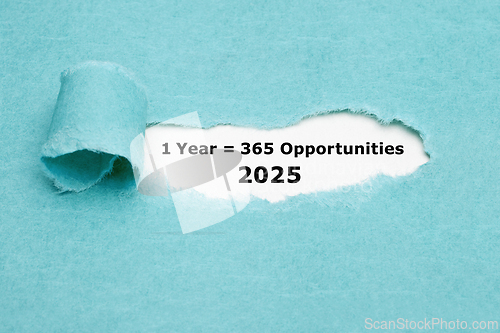 Image of Inspirational Quote 1 Year 2025 Equal To 365 Opportunities