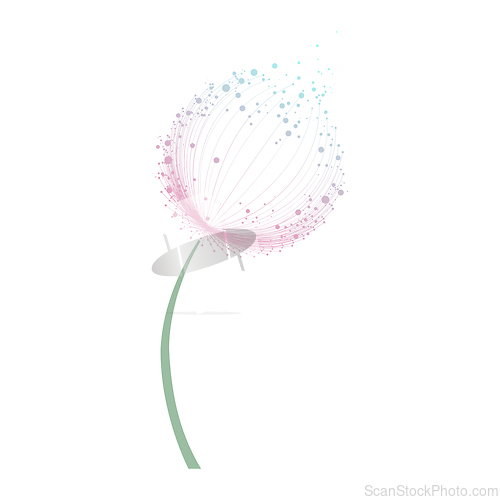 Image of Abstract dandelion flower over white background