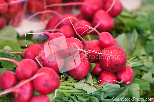 Image of Fresh raw radish roots with leaves 