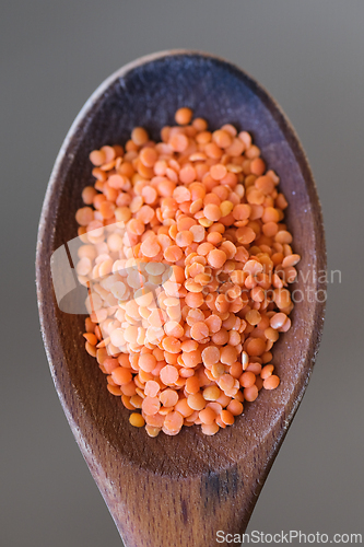 Image of Red lentils on a wooden spoon