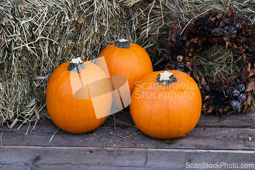 Image of Three orange pumpkins on a table