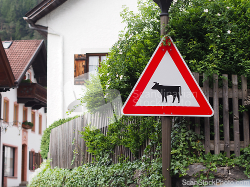Image of A cow warning sign in Germany