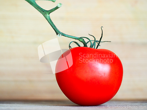 Image of A red tomato with a green stem