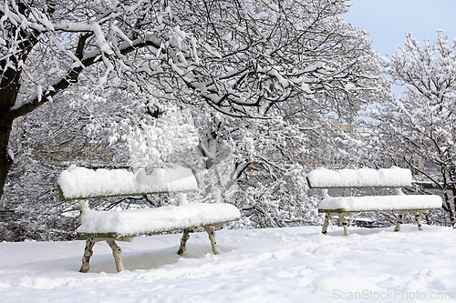 Image of Snow Covered Benches in Wintery Park