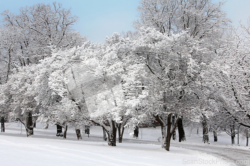 Image of Beautiful Winters Day in Helsinki Park
