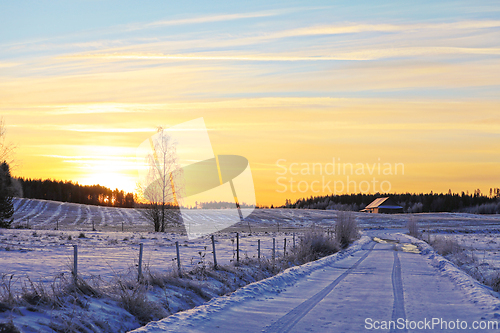 Image of Rural Road Landscape at Winter Daybreak
