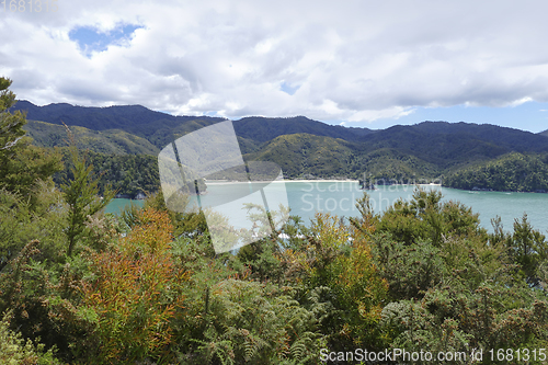 Image of Abel Tasman National Park