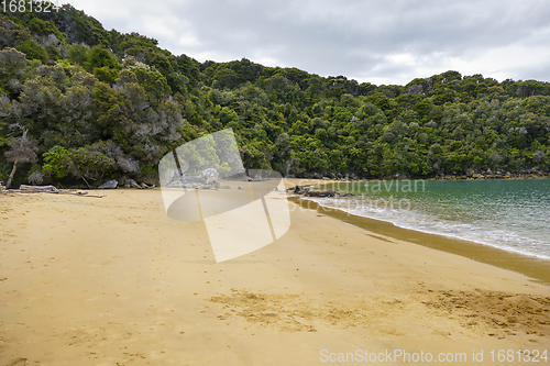 Image of Abel Tasman National Park