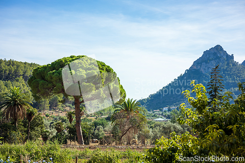 Image of beautiful Majorcan landscape