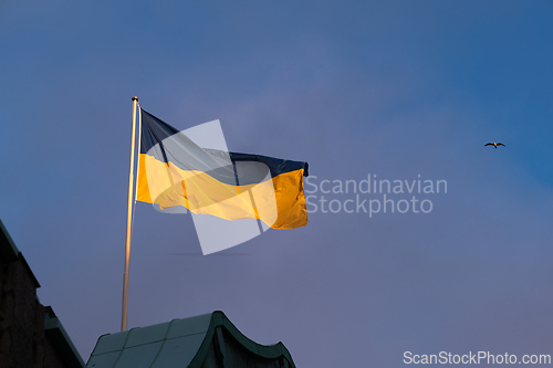 Image of Flag of Ukraine