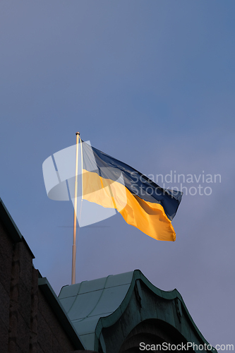 Image of Flag of Ukraine