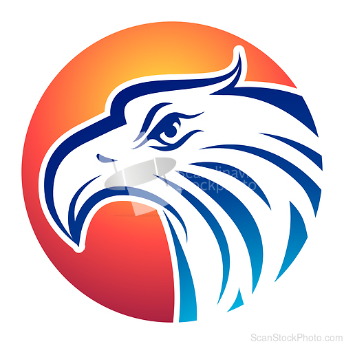 Image of Portrait of eagle against the sun