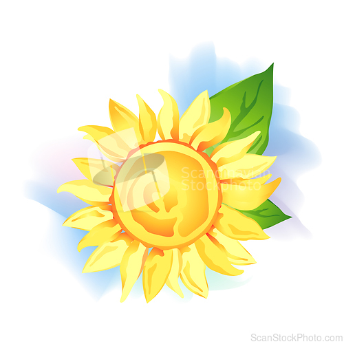 Image of Sunflower wirh green leaf over white