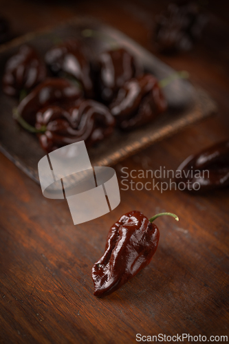 Image of Chocolate habanero peppers