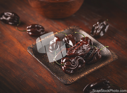 Image of Chocolate habanero peppers