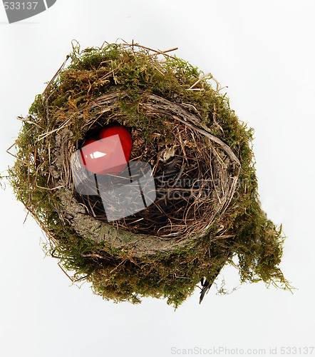Image of Red heart in nest