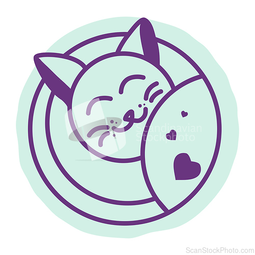 Image of Sleeping cute cat under the blanket