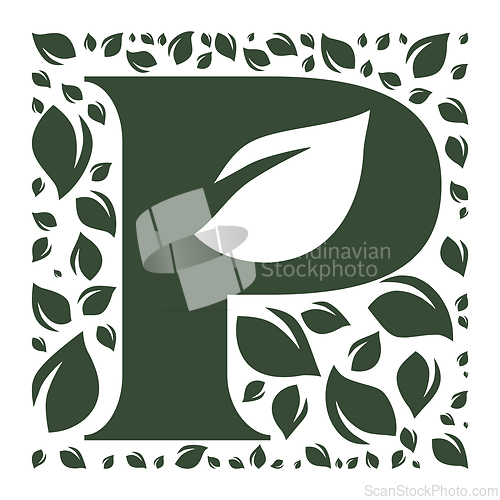 Image of Letter P among the green leaves 