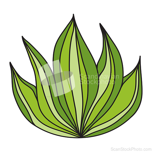 Image of Green grass image over the white