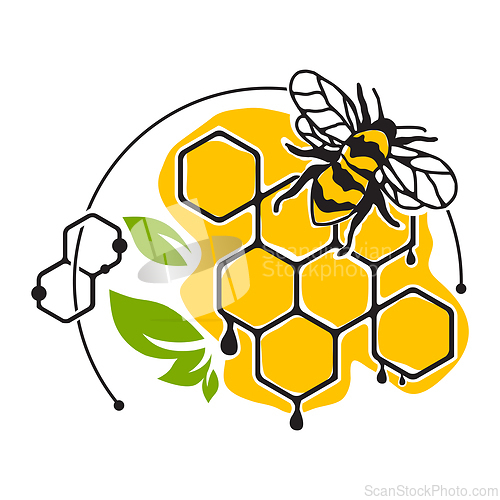 Image of Bee and honeycombs with leaves over white