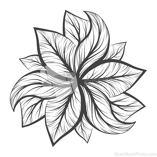 Image of Abstract eco theme from black and white leaves