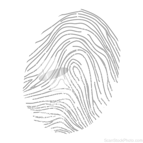 Image of Abctract fingerprint image on the white
