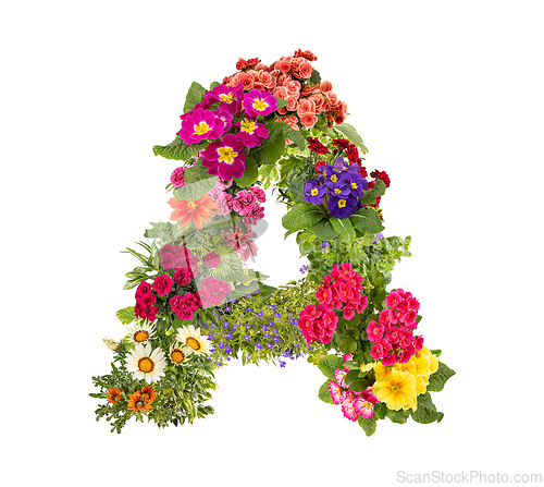 Image of Letter A made of various colorful flowers