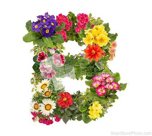 Image of Letter B made of various colorful flowers