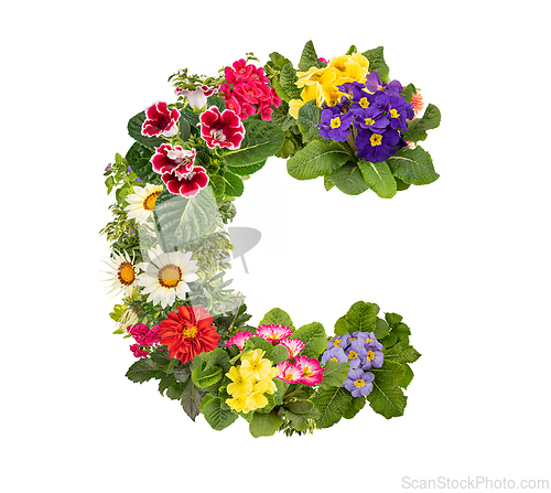 Image of Letter C made of various colorful flowers
