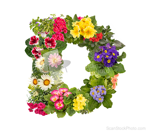 Image of Letter D made of various colorful flowers
