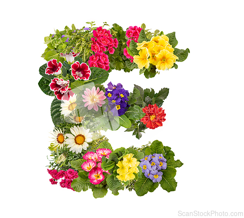 Image of Letter E made of various colorful flowers