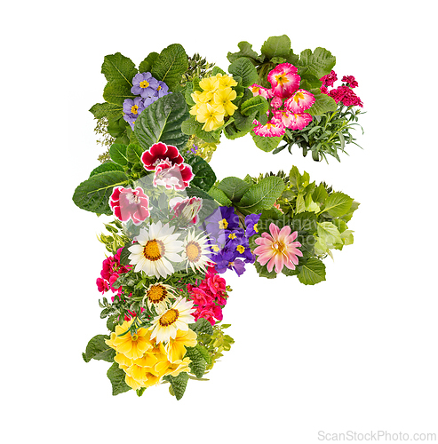 Image of Letter F made of various colorful flowers