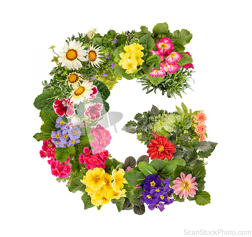 Image of Letter G made of various colorful flowers