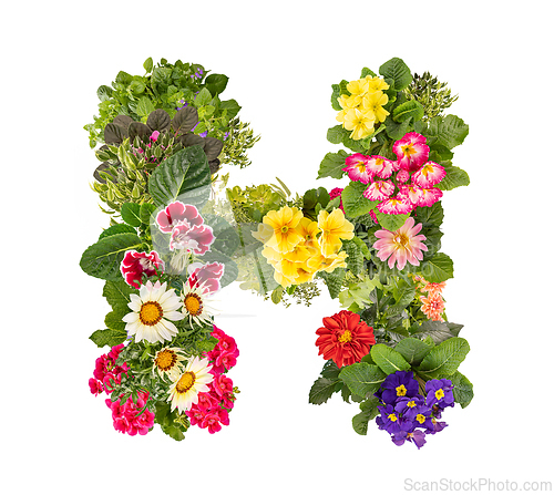 Image of Letter H made of various colorful flowers