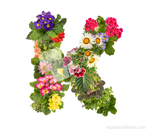 Image of Letter K made of various colorful flowers