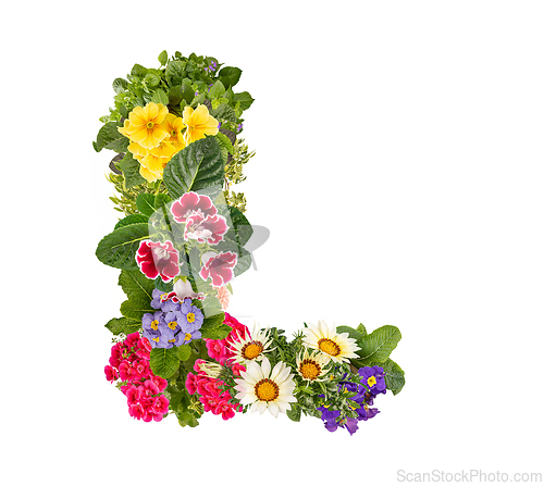 Image of Letter L made of various colorful flowers