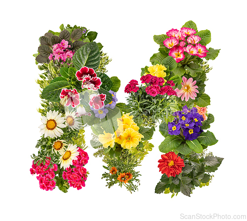 Image of Letter M made of various colorful flowers