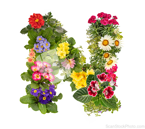 Image of Letter N made of various colorful flowers