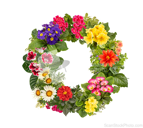 Image of Letter O made of various colorful flowers